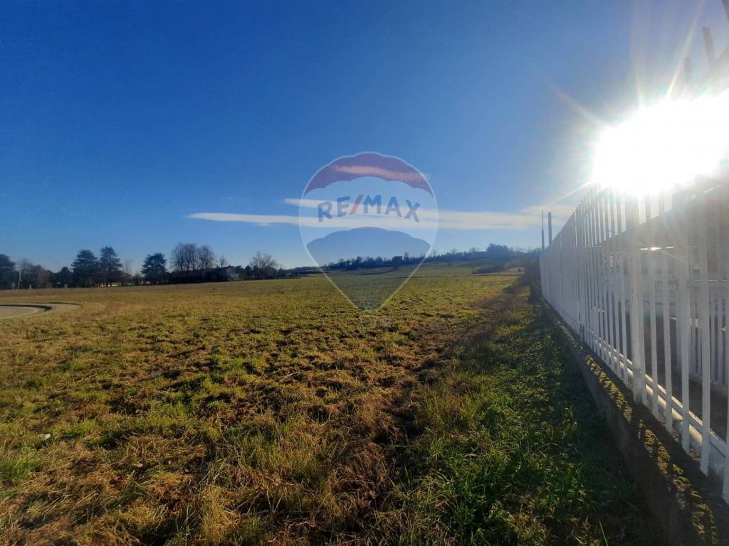 immagine annuncio 2 di 6