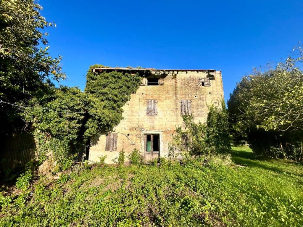 immagine annuncio 3 di 14