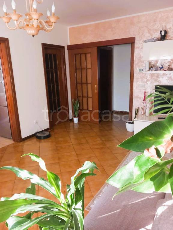 immagine annuncio 2 di 7