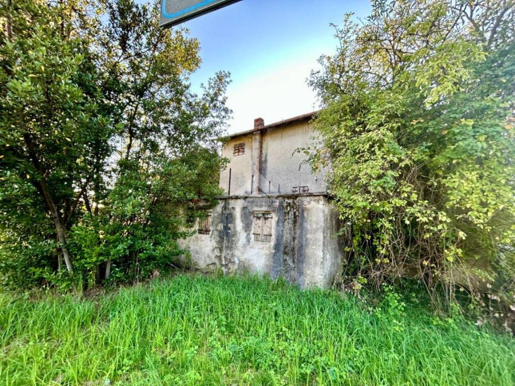 immagine annuncio 4 di 14