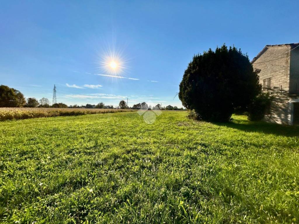 immagine annuncio 7 di 14