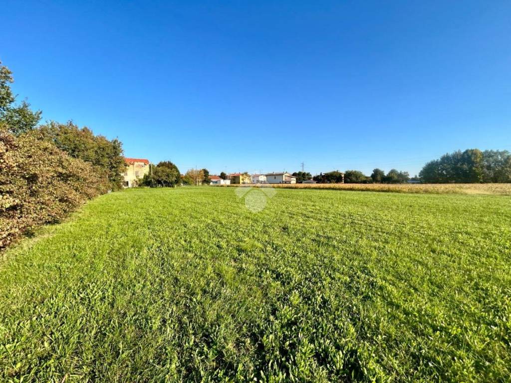 immagine annuncio 10 di 14