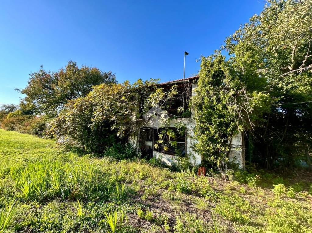 immagine annuncio 11 di 14