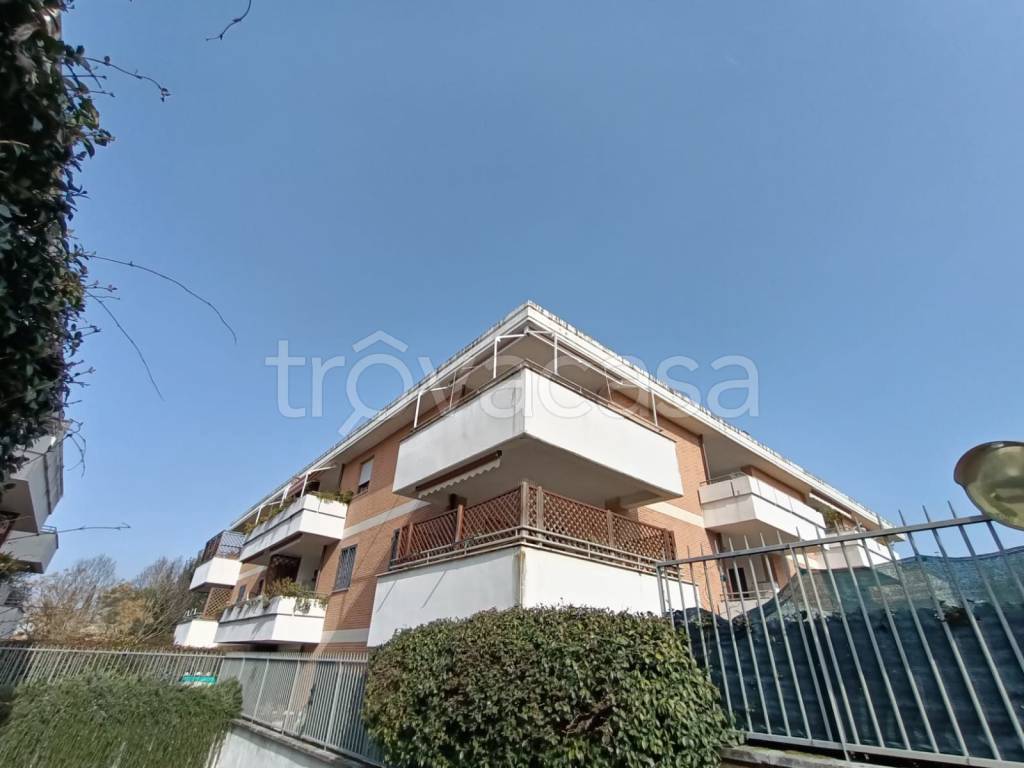 immagine annuncio 1 di 15