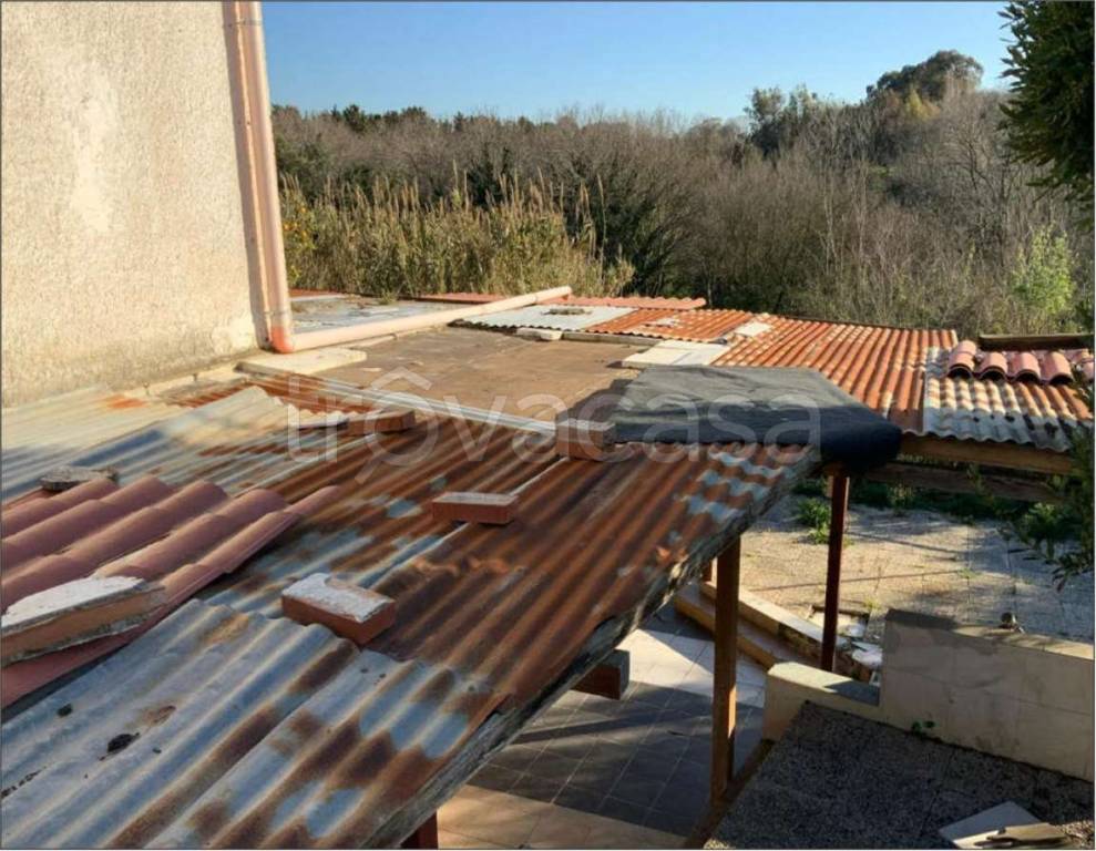 immagine annuncio 9 di 12