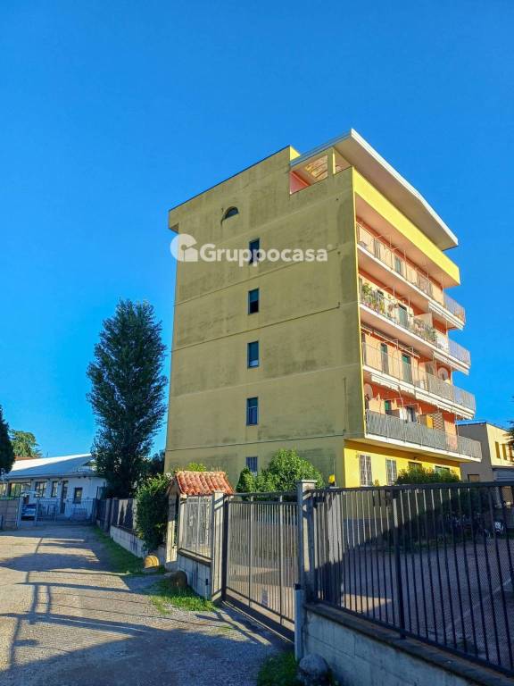 immagine annuncio 3 di 15