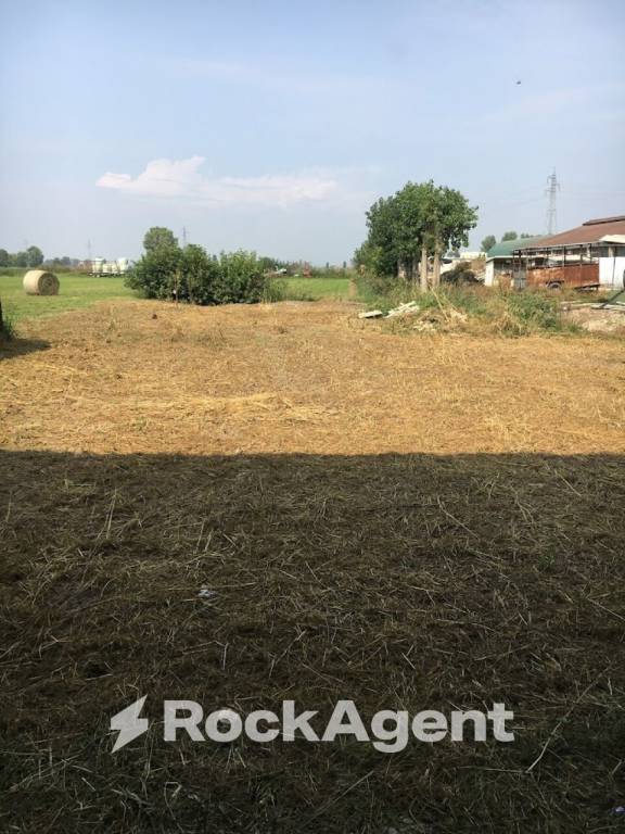 immagine annuncio 7 di 11