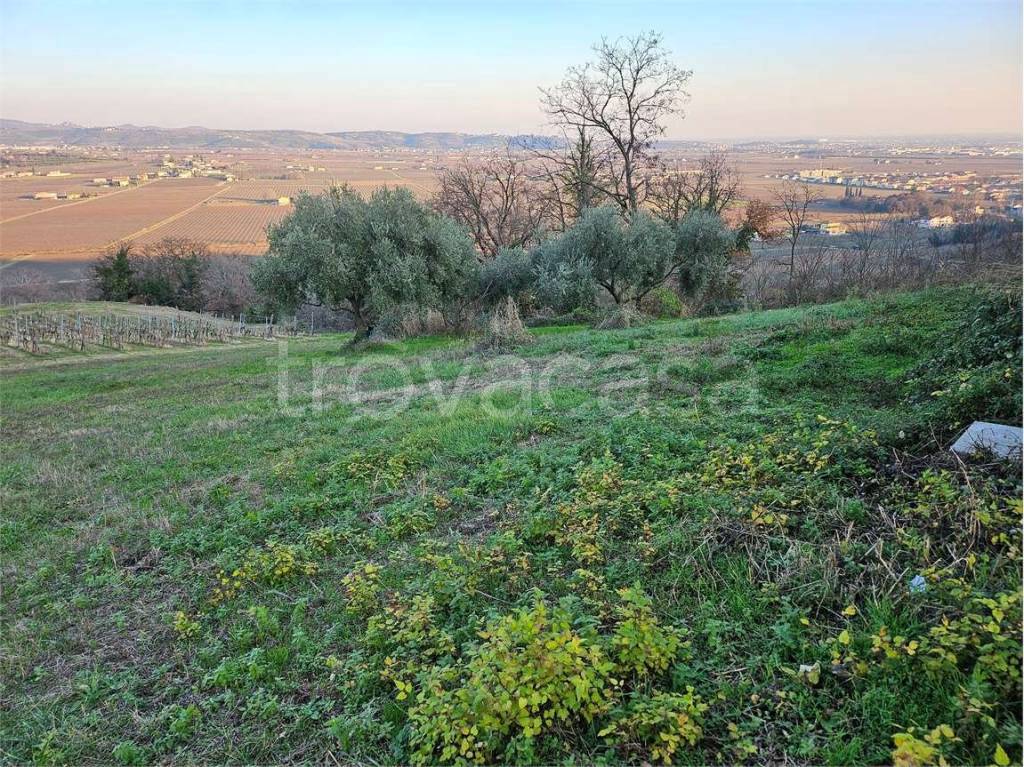 immagine annuncio 3 di 4