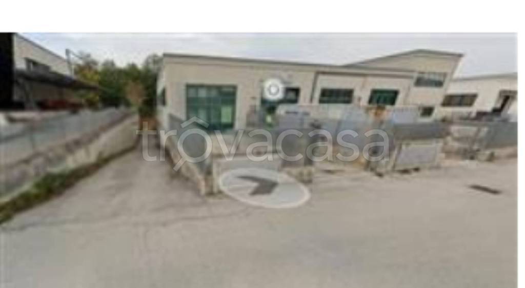 immagine annuncio 9 di 13