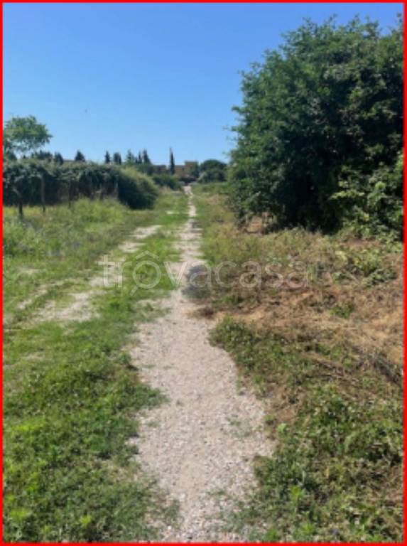 immagine annuncio 6 di 12