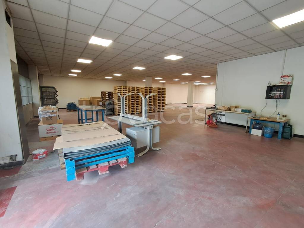 immagine annuncio 5 di 15