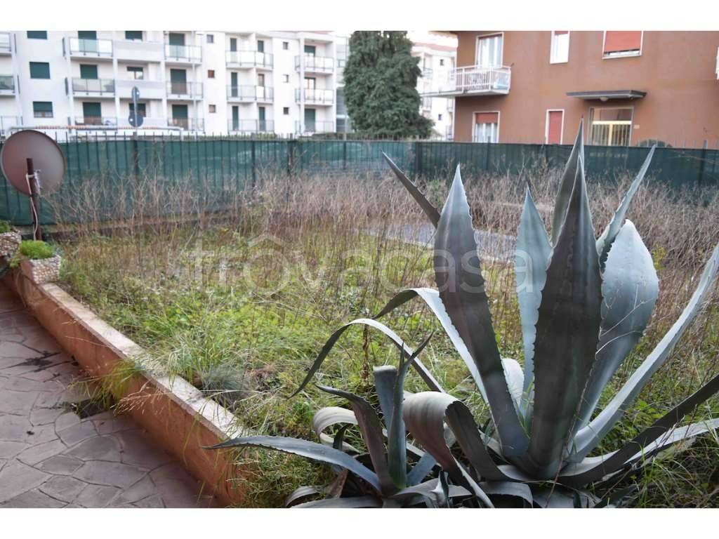 immagine annuncio 9 di 12