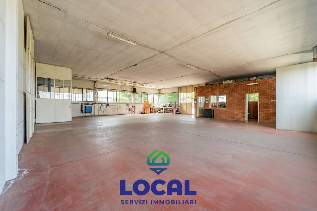 immagine annuncio 5 di 15