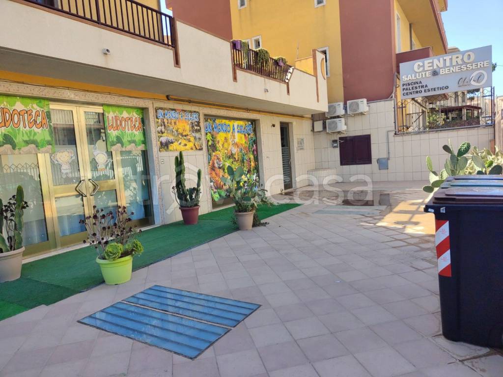 immagine annuncio 1 di 11