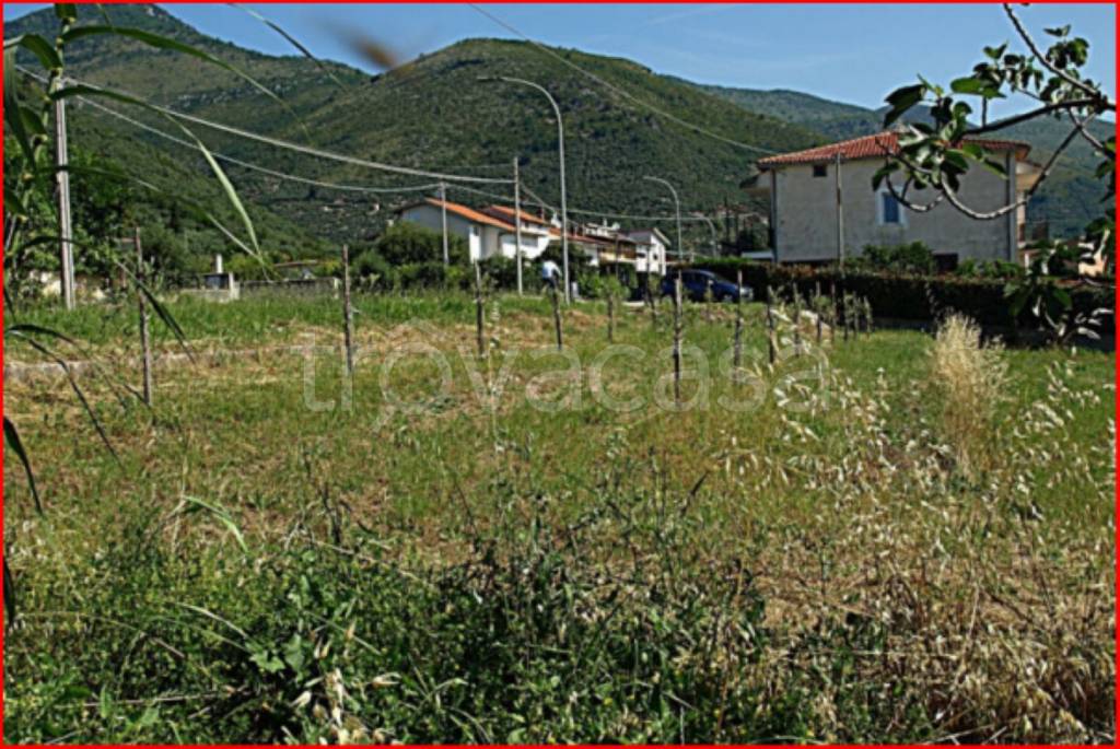 immagine annuncio 2 di 12