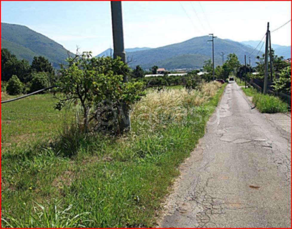 immagine annuncio 4 di 12