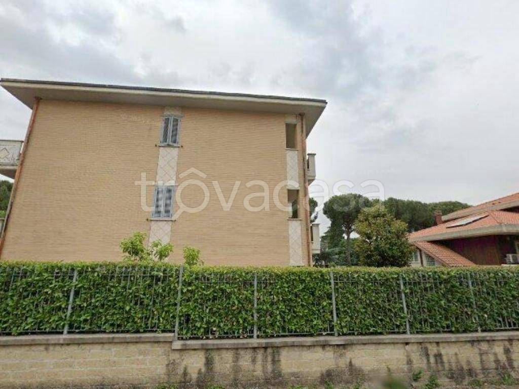 immagine annuncio 12 di 13