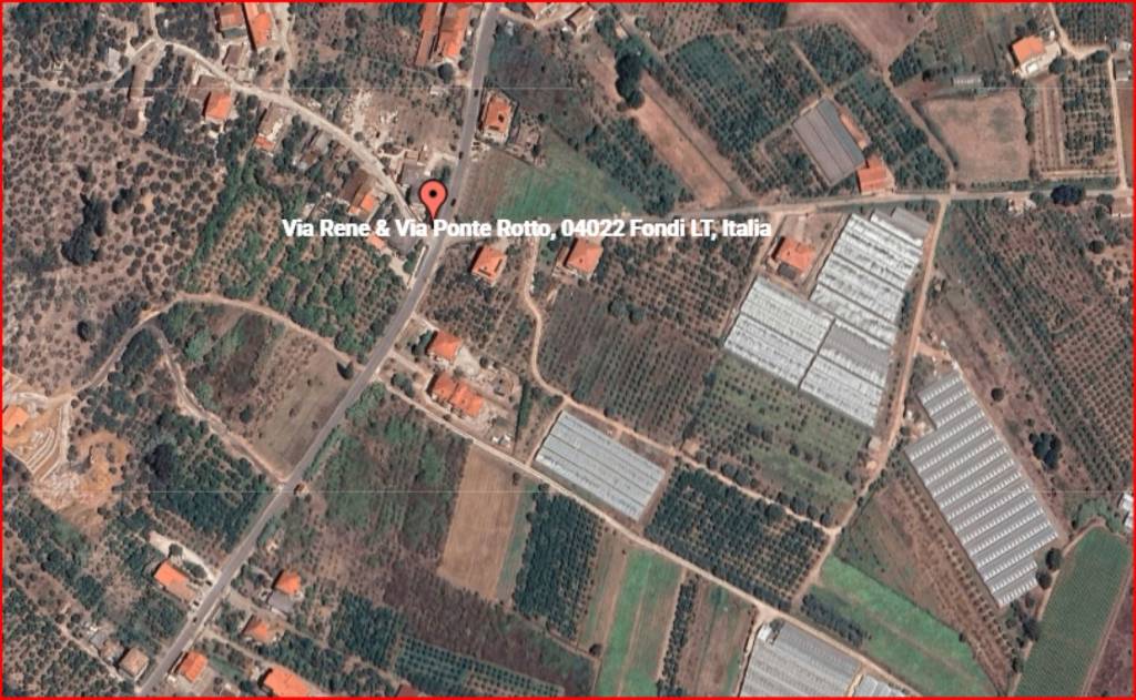 immagine annuncio 11 di 12