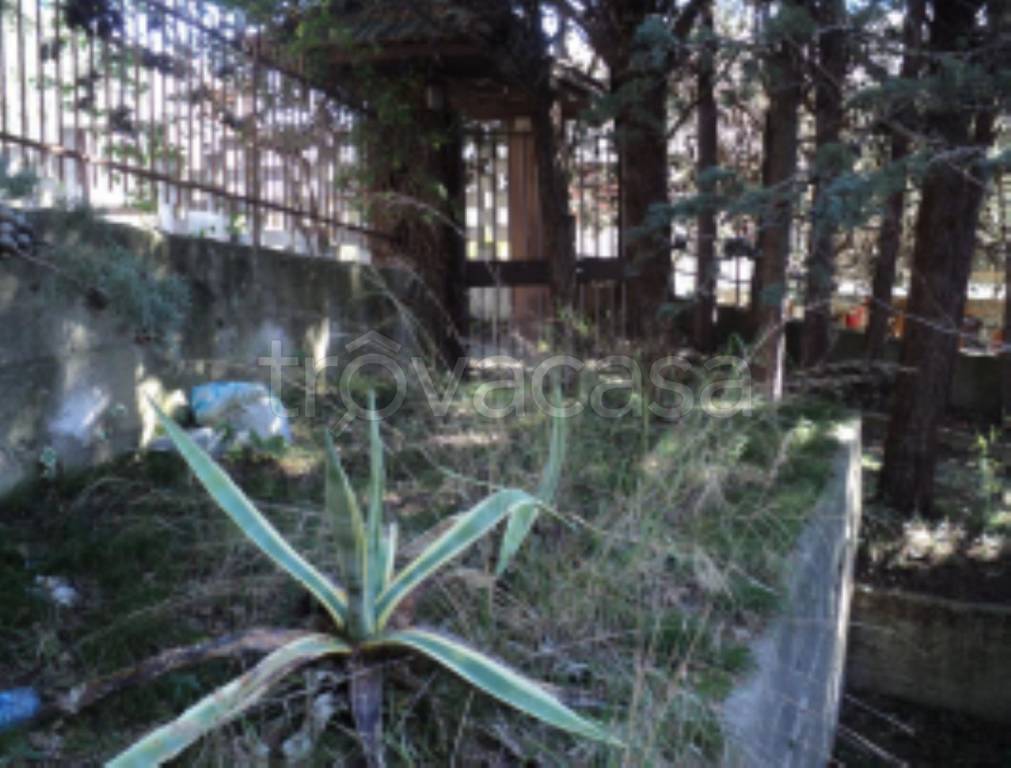 immagine annuncio 6 di 11