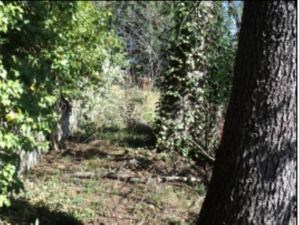 immagine annuncio 7 di 11