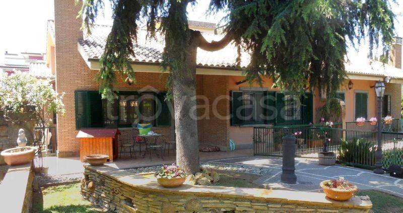 immagine annuncio 9 di 13