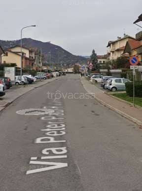 immagine annuncio 3 di 12