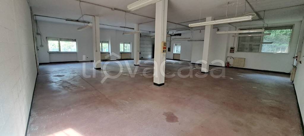 immagine annuncio 2 di 6