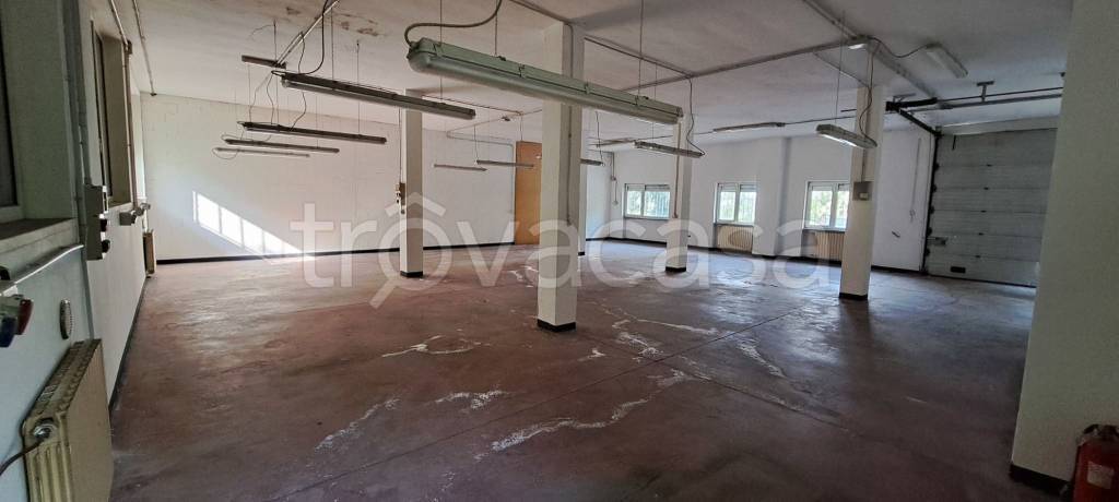 immagine annuncio 3 di 6