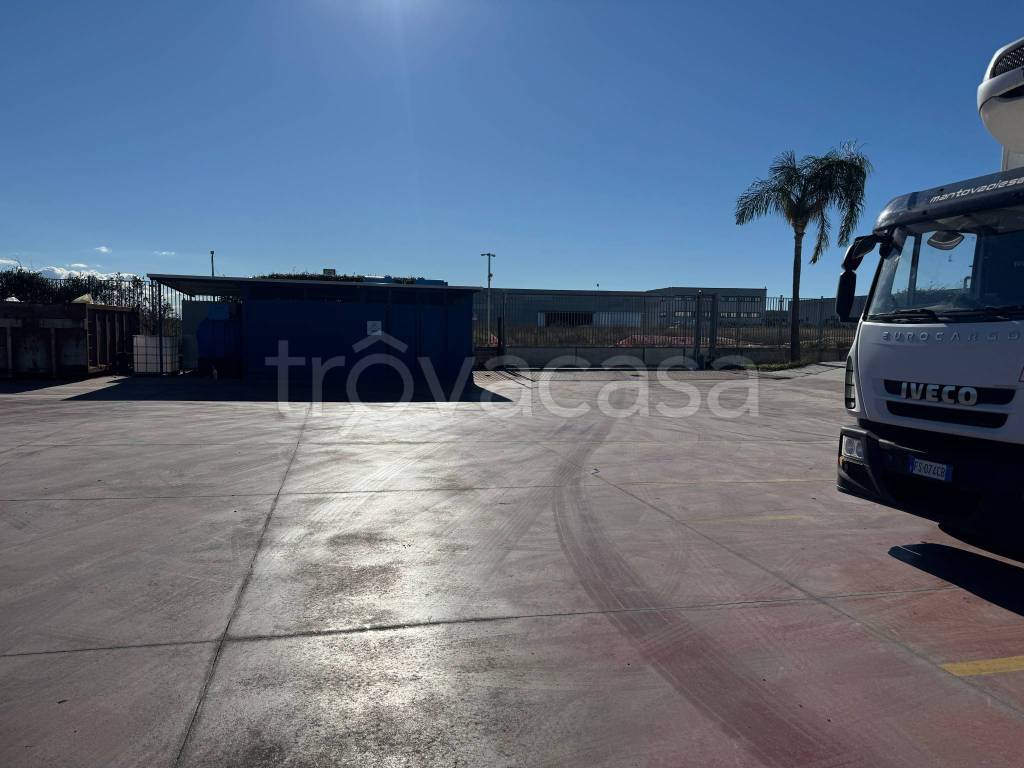 immagine annuncio 8 di 11