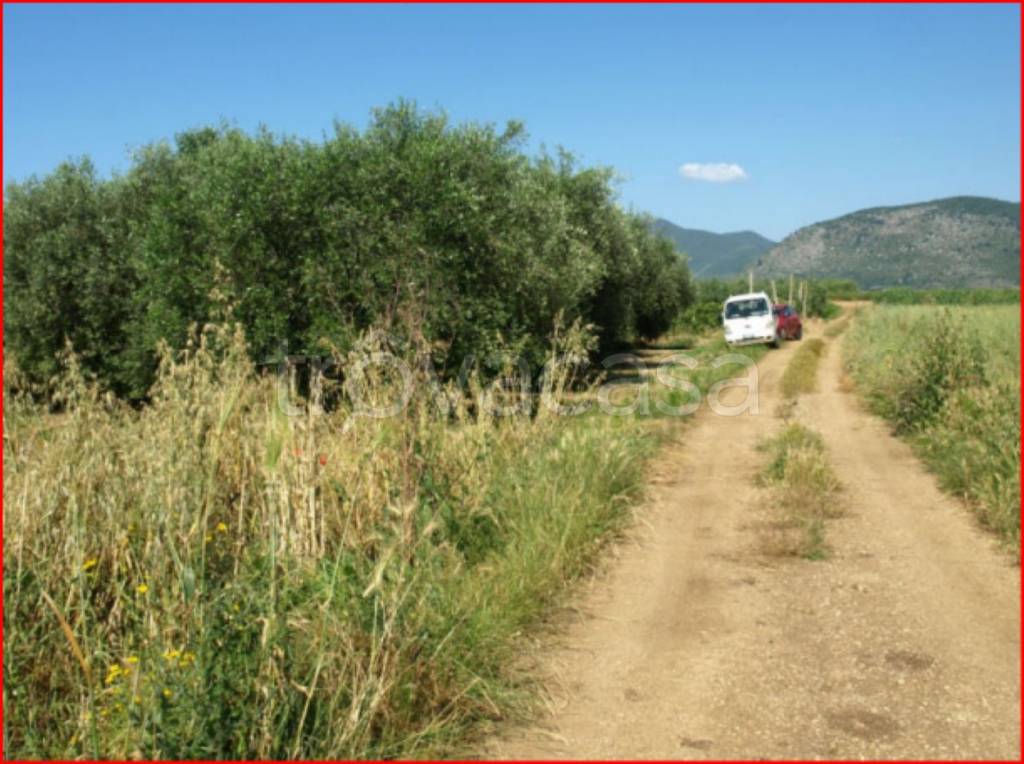 immagine annuncio 2 di 13