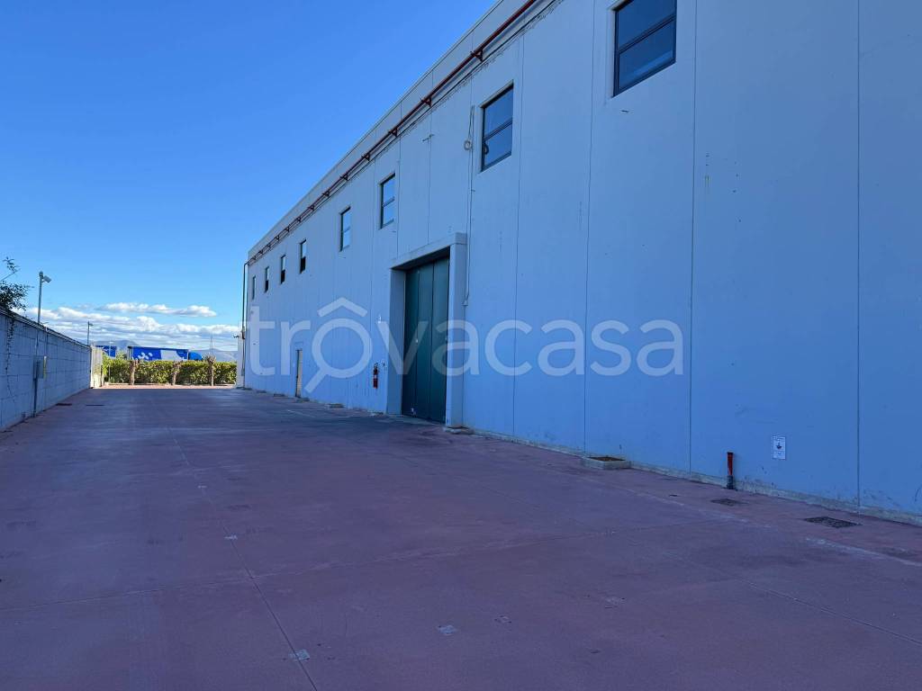 immagine annuncio 10 di 11