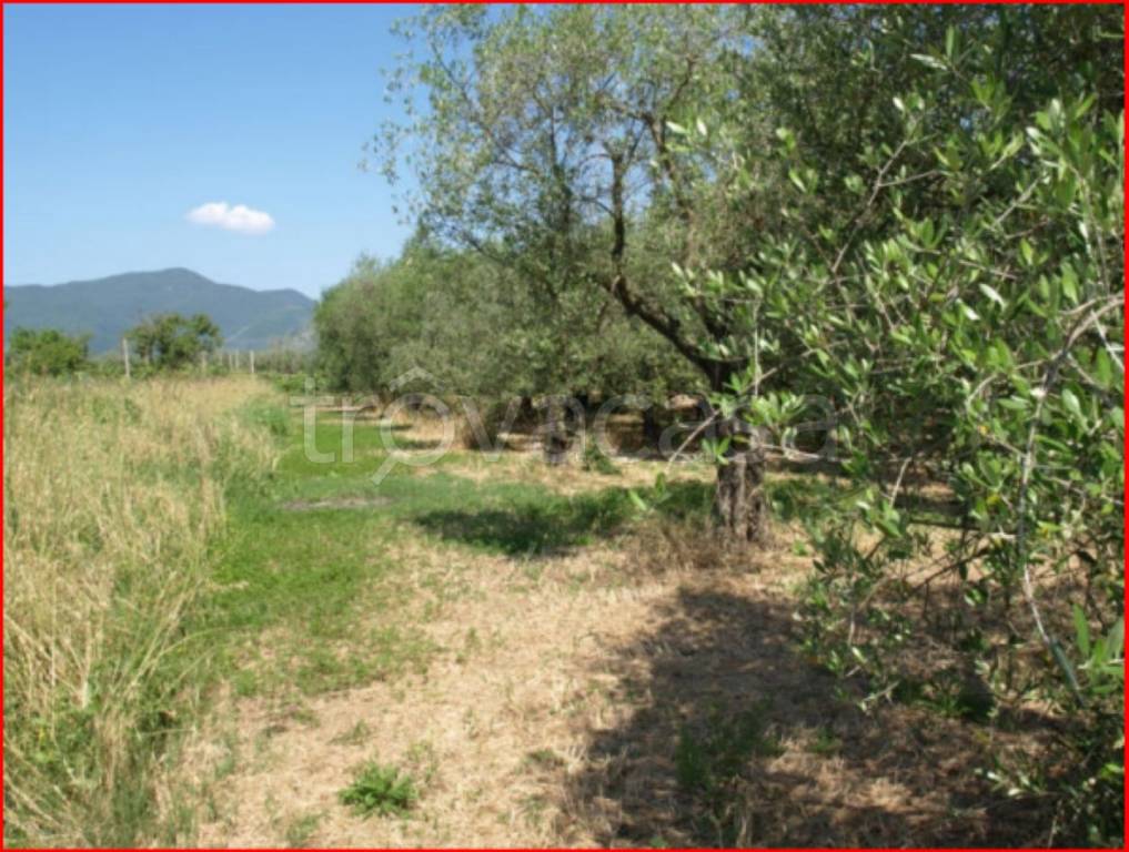 immagine annuncio 4 di 13