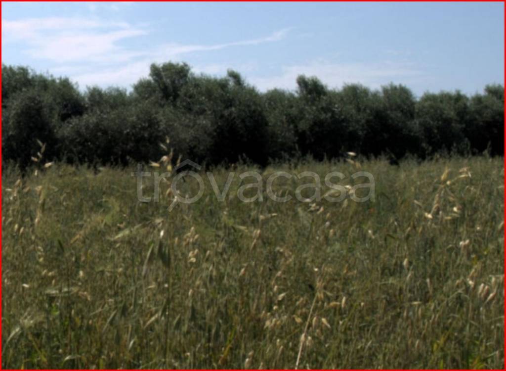 immagine annuncio 7 di 13