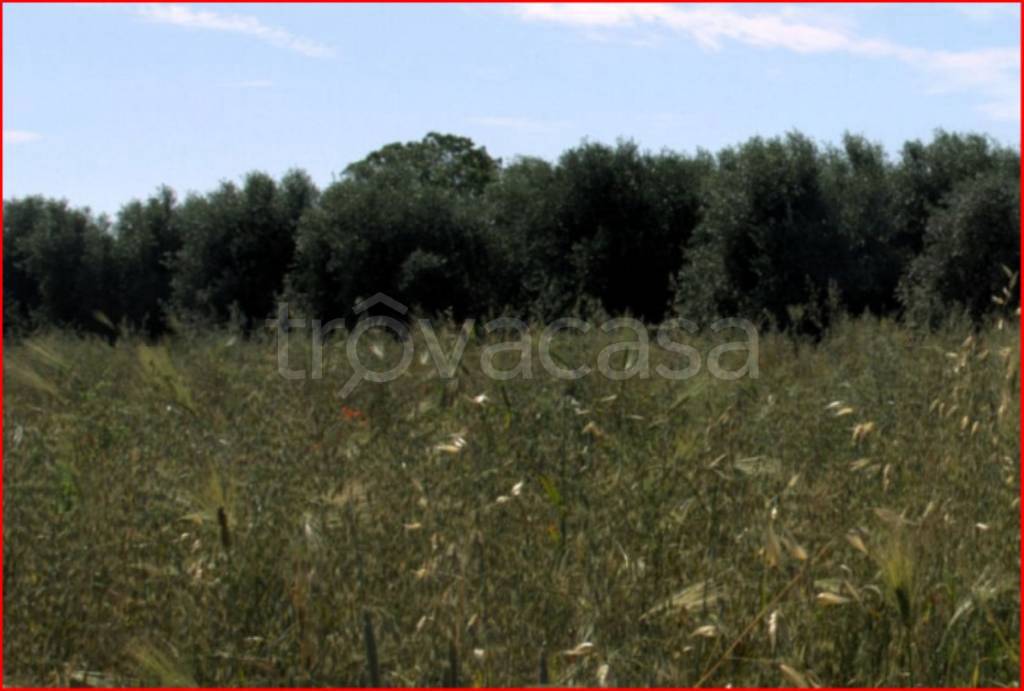 immagine annuncio 8 di 13