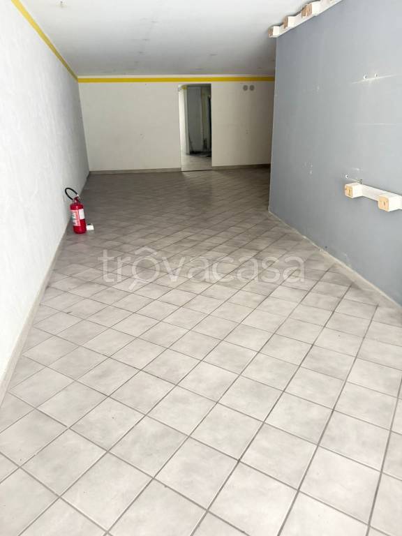 immagine annuncio 4 di 7