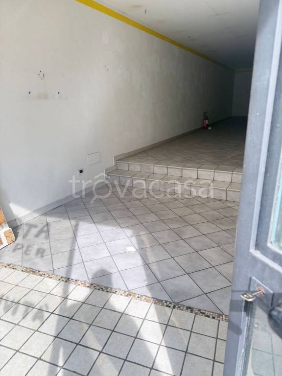 immagine annuncio 5 di 7