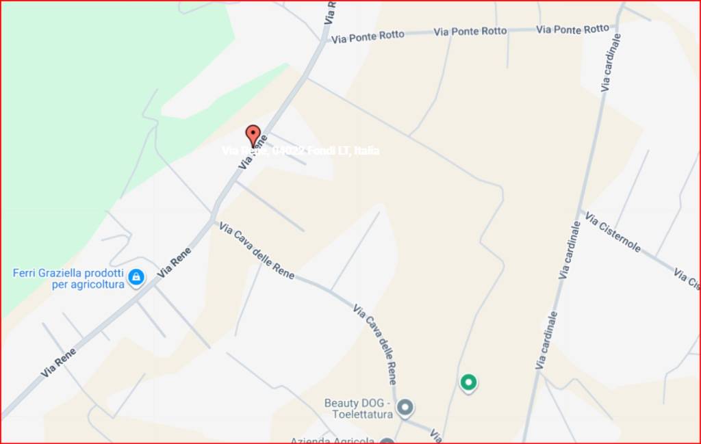 immagine annuncio 10 di 12