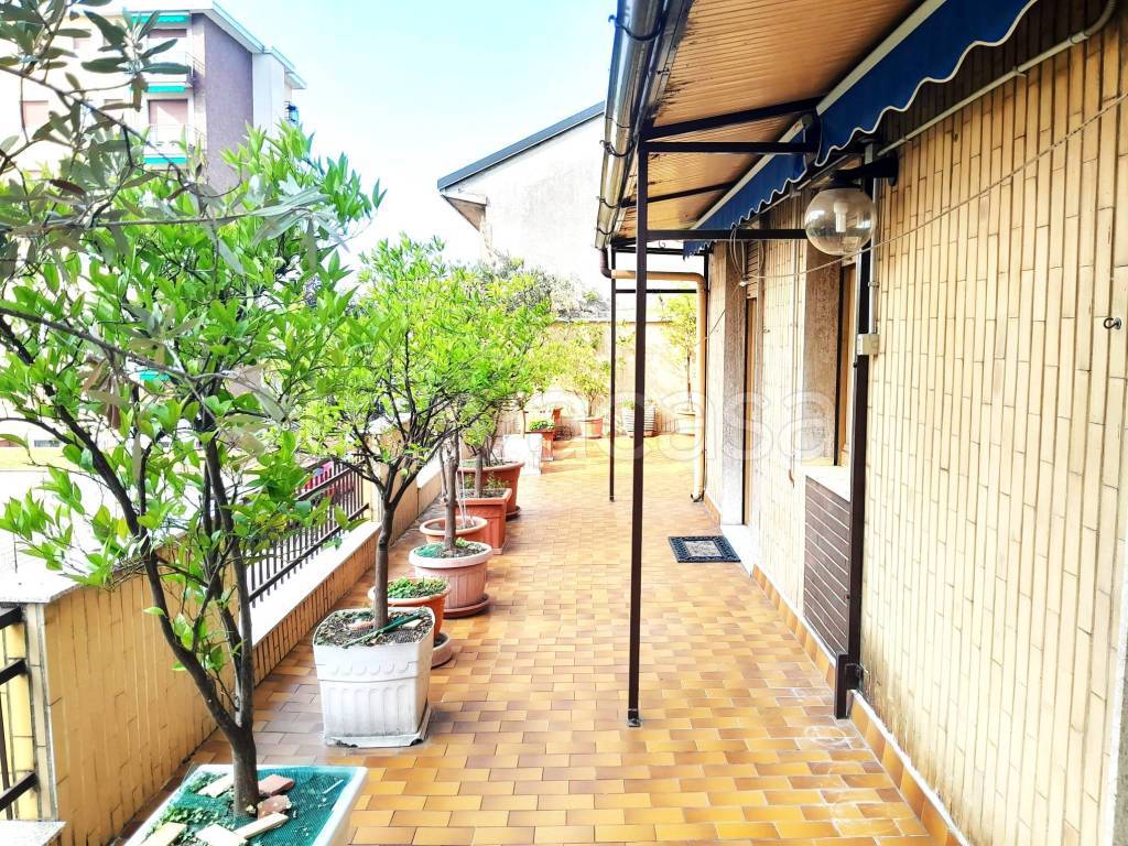 immagine annuncio 4 di 15