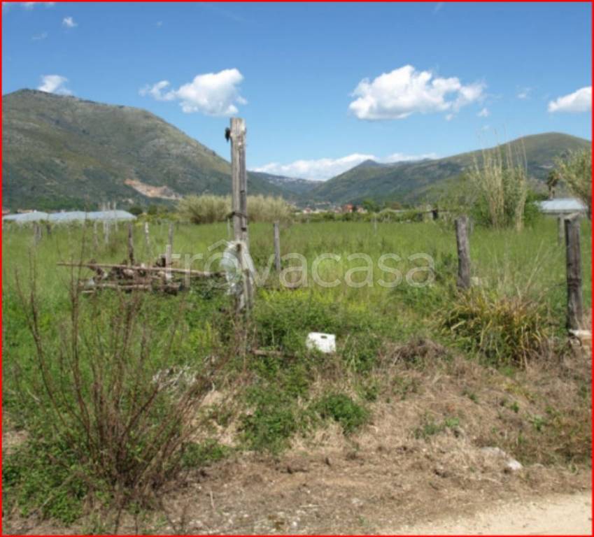 immagine annuncio 3 di 12