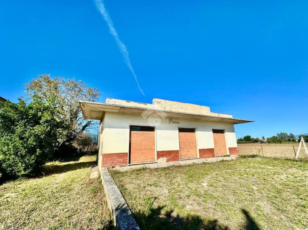 immagine annuncio 2 di 14