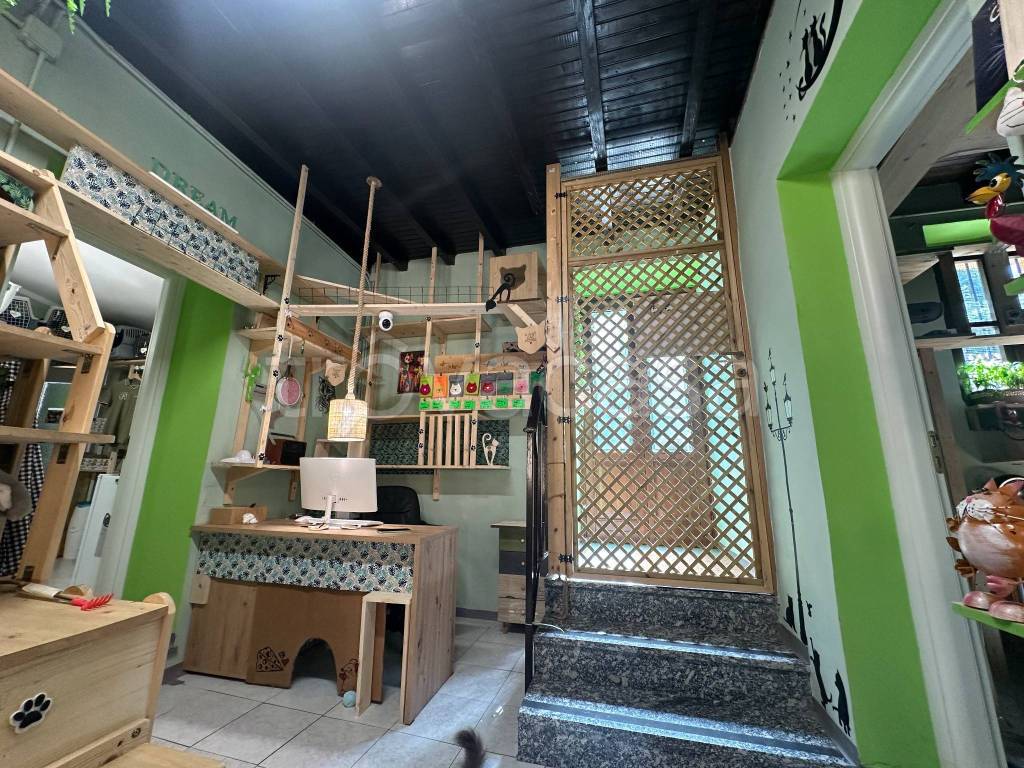 immagine annuncio 2 di 10