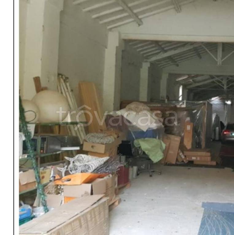 immagine annuncio 5 di 11