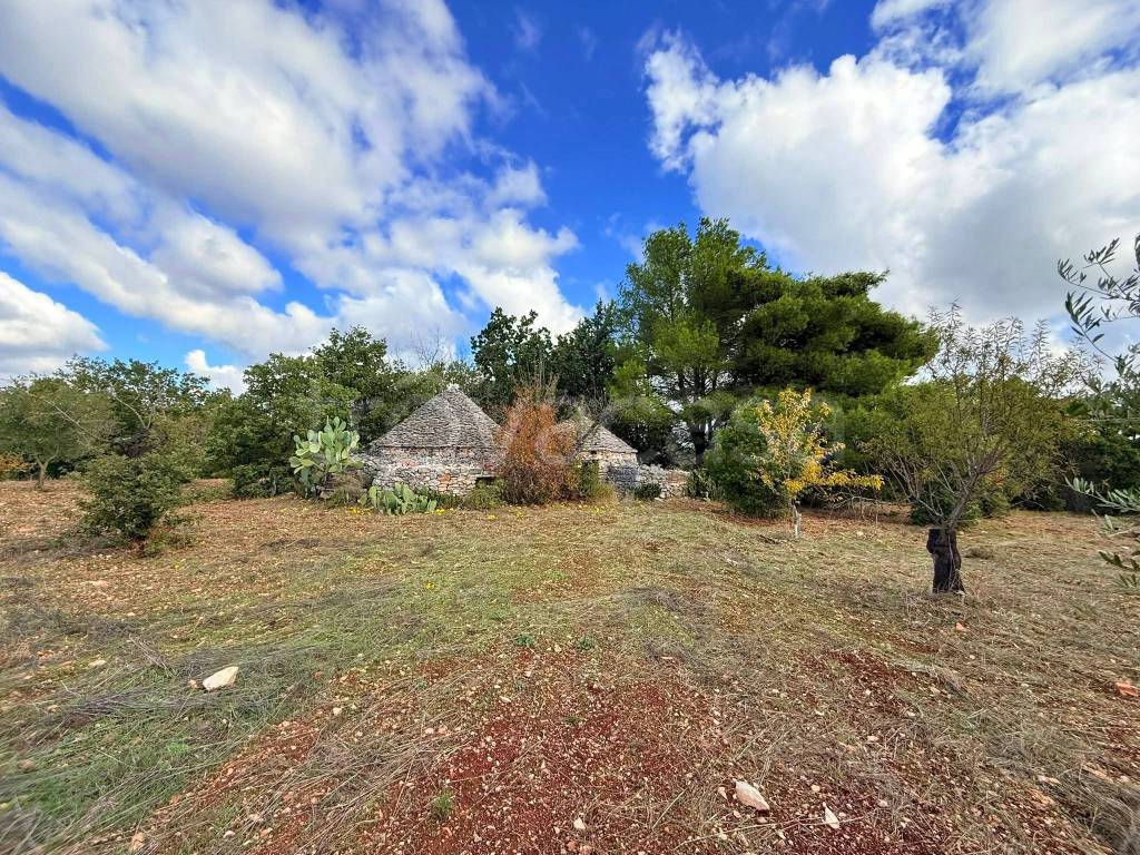 immagine annuncio 12 di 14