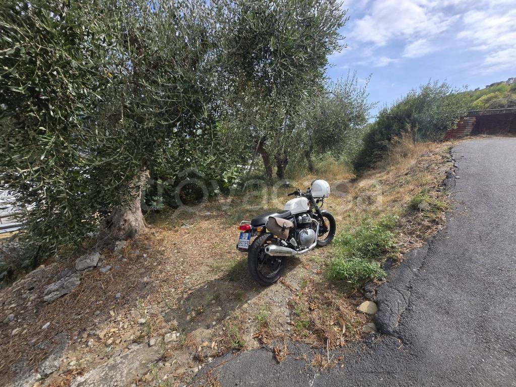 immagine annuncio 5 di 13