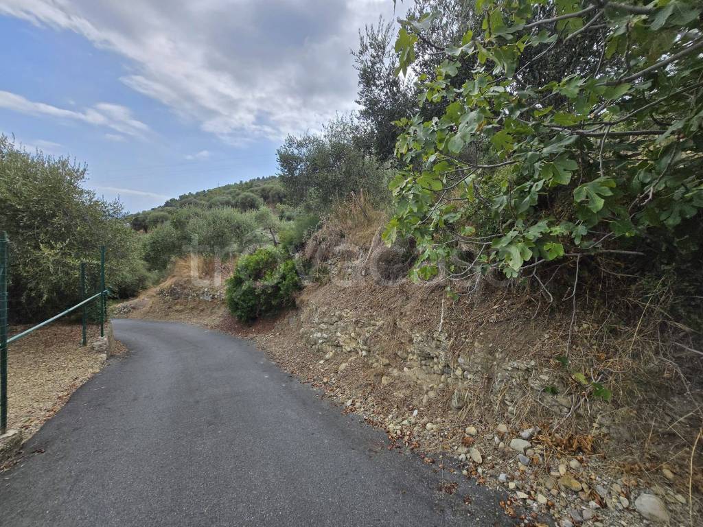 immagine annuncio 11 di 13