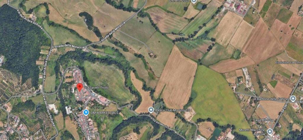 immagine annuncio 7 di 14