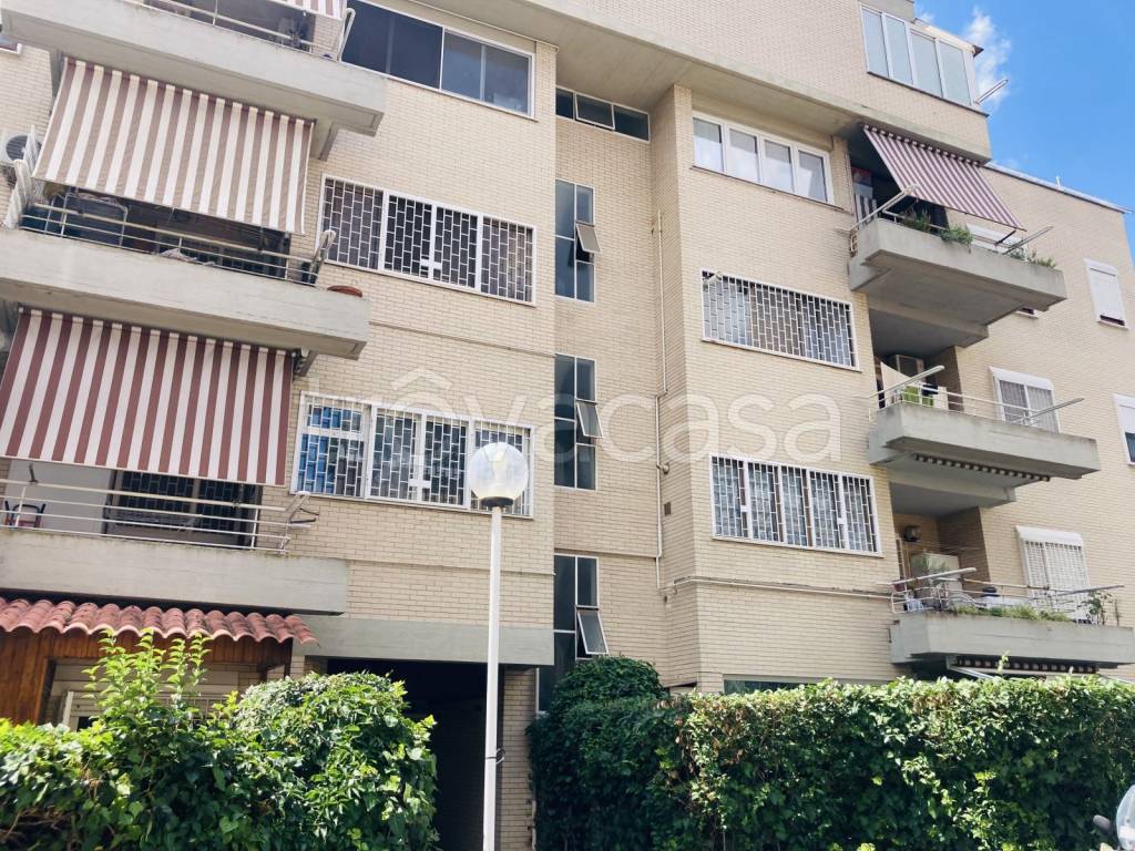 immagine annuncio 12 di 15