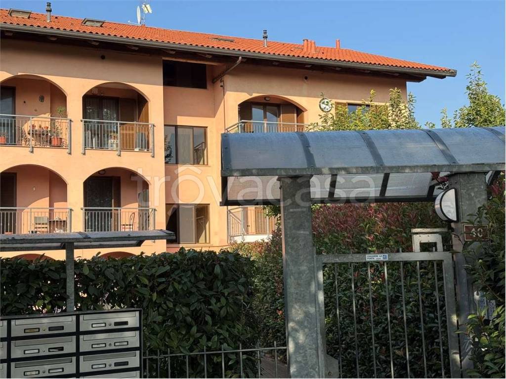 immagine annuncio 4 di 14