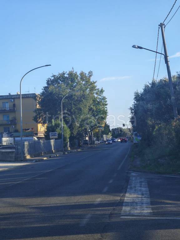 immagine annuncio 3 di 8
