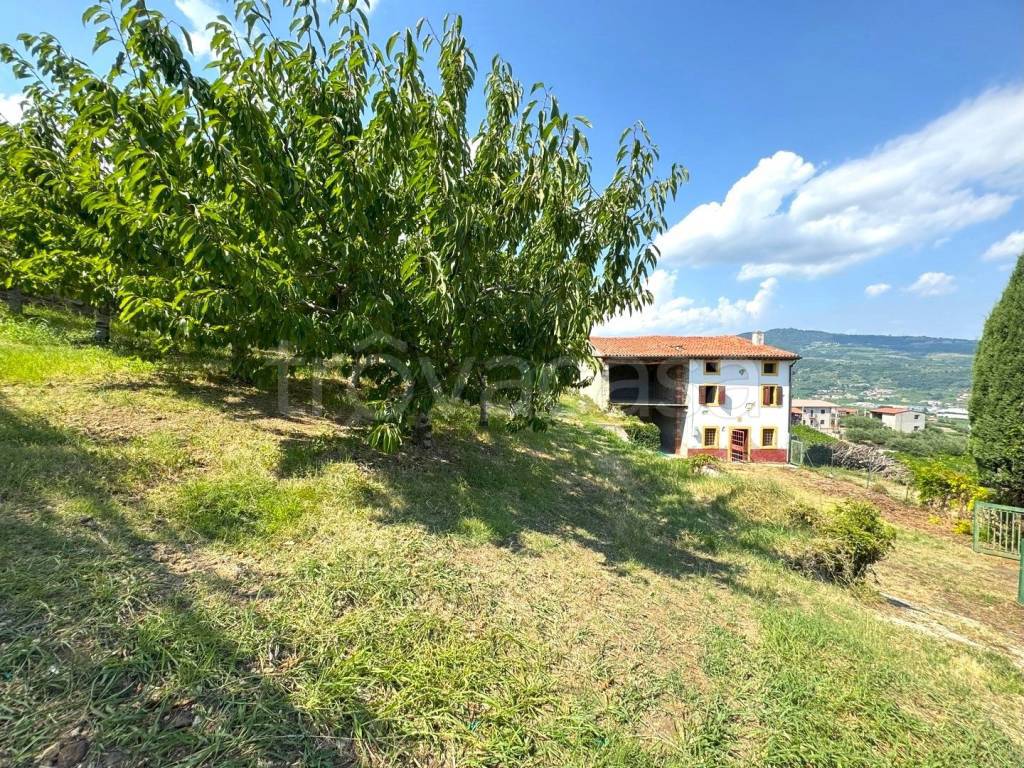 immagine annuncio 8 di 9